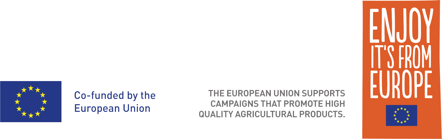 europ-union-logo